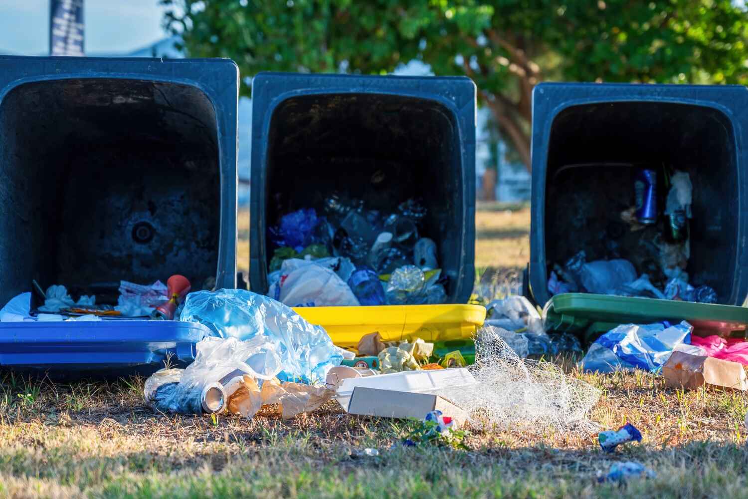 Trash Removal Near Me in Montpelier, OH